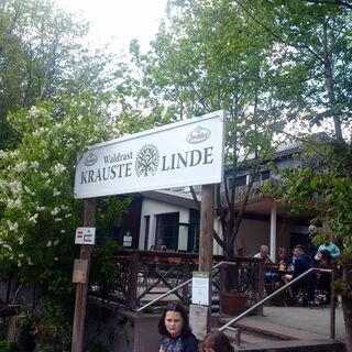 Waldrast Krauste Linde