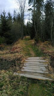 Foto de ukawe a lo largo del recorrido