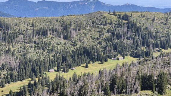 Fotografia z Afa na trase