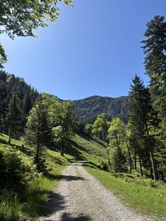 Foto von Emil Berger entlang der Tour