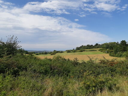 Zdjęcie z mmecki wzdłuż trasy