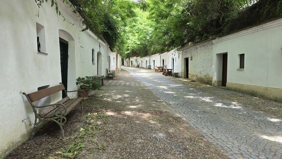 Fotografija s spletne strani Hieu Duc Tram na poti