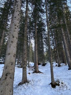 Foto von Heinz Sperl entlang der Tour