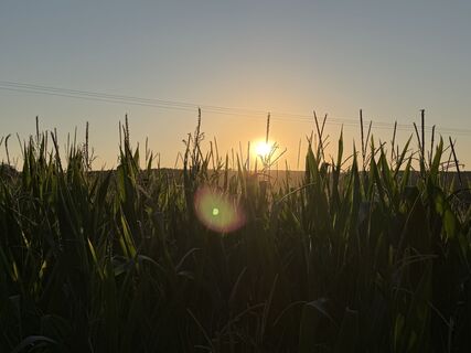 Foto von Schaali entlang der Tour