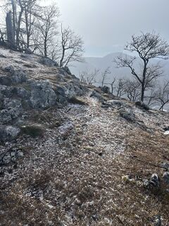 Foto von Carola Krems entlang der Tour