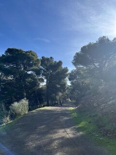 Foto från Hanna Sommersacher under resans gång