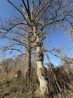 Fotografia z Gottfried Wietinger na trase