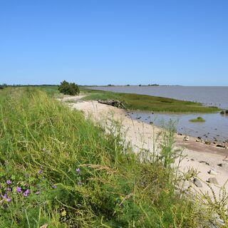 Boucle de l'Estuaire@medoc-atlantique-tourisme_0133