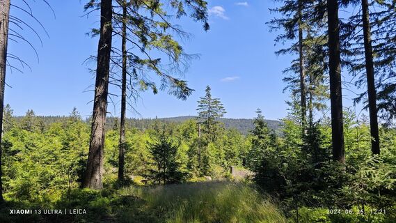 Foto da damilaja242 lungo il tour