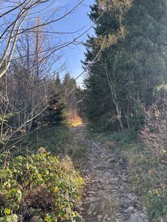 Foto de Heinz Sperl a lo largo del recorrido