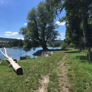 Wanderweg nach der Regenbogenbrücke