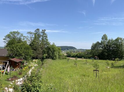 Fotografia z Heinz Sperl na trase