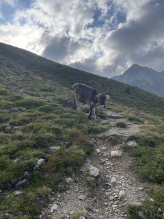 Foto von Dietrich Pinhammer entlang der Tour