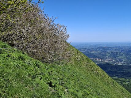 Foto von Jodeli entlang der Tour