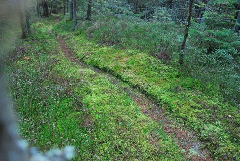 Geierhaupt über Grieskogel mit Finsterliesing-Abstieg
