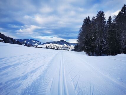 Loipe Richtung Balderschwang