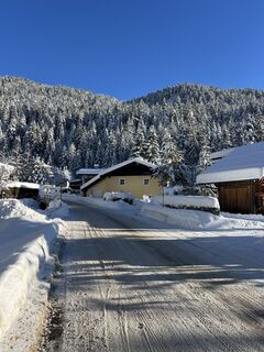 Photo de Heikoala le long du parcours
