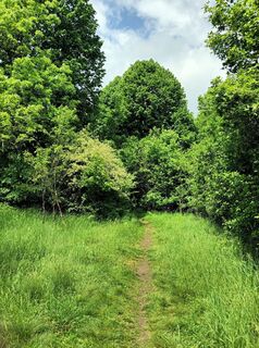 Foto de Julika Jármer a lo largo del recorrido