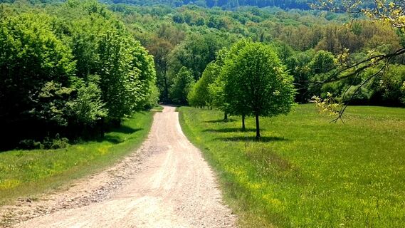 Foto de karazoltan a lo largo del recorrido