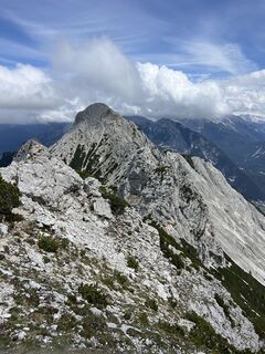 Foto von Heikoala entlang der Tour