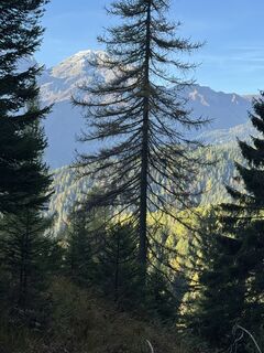 Foto von Davide Barbiero entlang der Tour