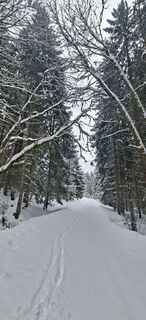 Foto von execute entlang der Tour