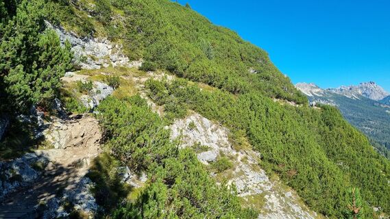 Photo de Michael Sparlund le long du parcours
