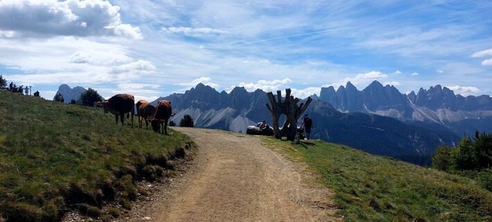Foto von Jens Brunner entlang der Tour