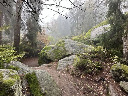 Foto da Norbert Herbig lungo il tour