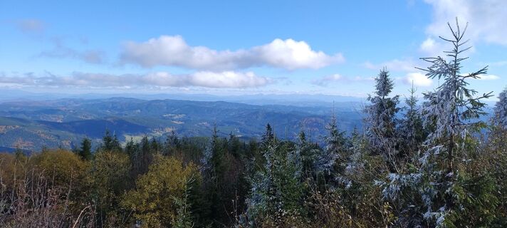 Foto da Sylwiasuchy76 lungo il tour