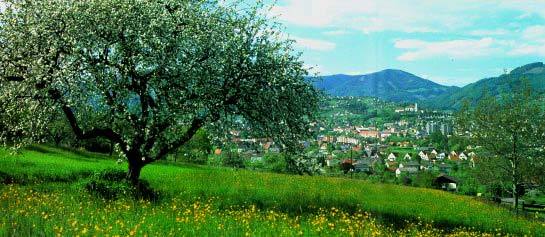 Panoramablick über Weiz. 