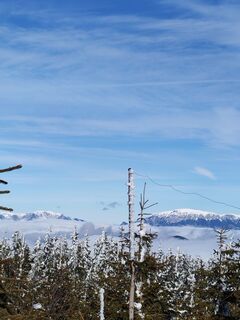 Photo de v.stein le long du parcours