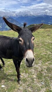 Fotografie z Ma Wa na trase