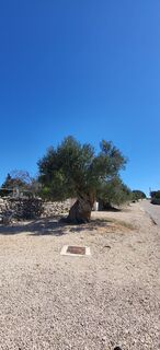 Photo de Jure Kaplan le long du parcours