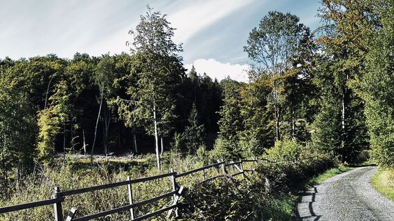 Fotografija s spletne strani Klaus Tillmanns na poti