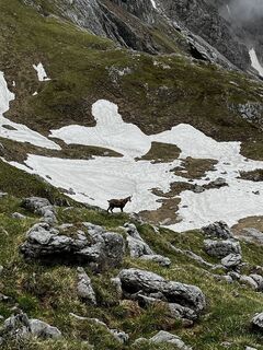Photo de Peter Vamosi le long du parcours