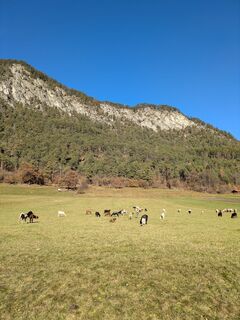 Fotografie z Martin Glaser na trase