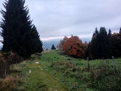 Foto de simone ravasi a lo largo del recorrido