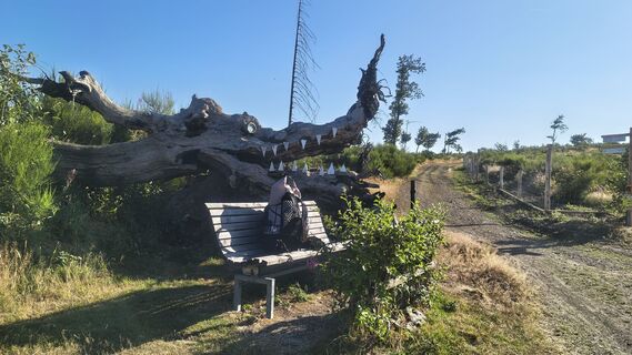 Foto de Sauerpurzel a lo largo del recorrido