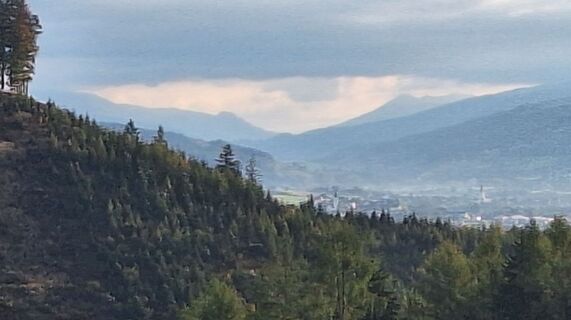 Fotografia z Regina Fleischmann na trase