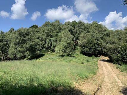 Fotó a Koen De Wit honlapról a túra során