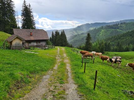 Fotografie z uhu321 na trase