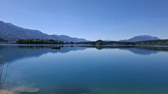 Photo de Mangolein le long du parcours