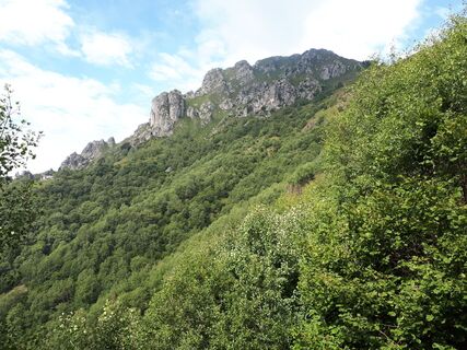 Karta