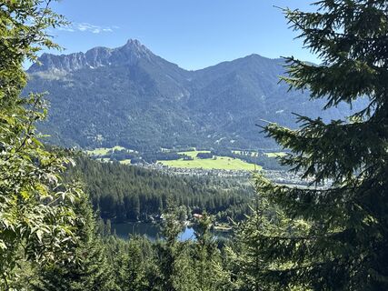 Foto von Grizzli entlang der Tour