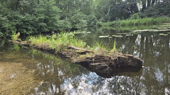Foto von Hieu Duc Tram entlang der Tour