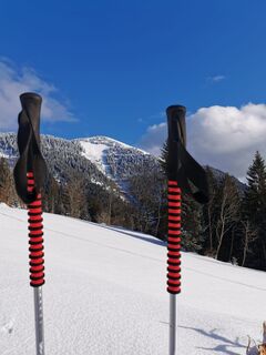 Skistöcke Skitour am Schlenken