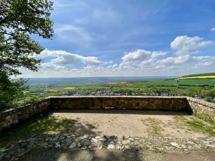Foto da Arthur Muskalla lungo il tour