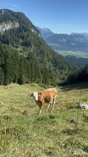 Zdjęcie z Sabrina Artmann wzdłuż trasy