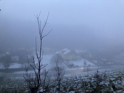 Foto de Moonytiger a lo largo del recorrido